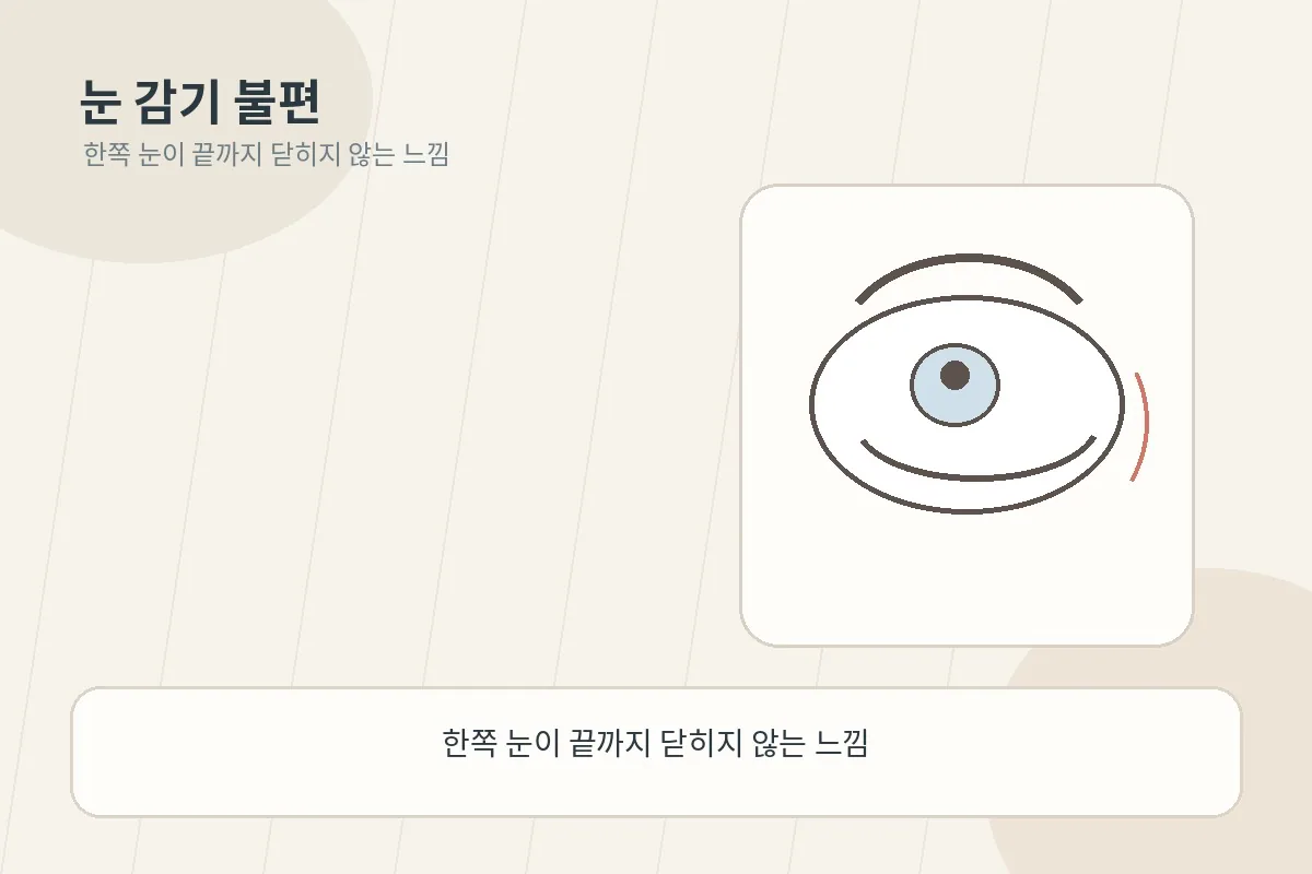 한쪽 눈 감김이 완전하지 않은 상태를 설명하는 안내형 이미지