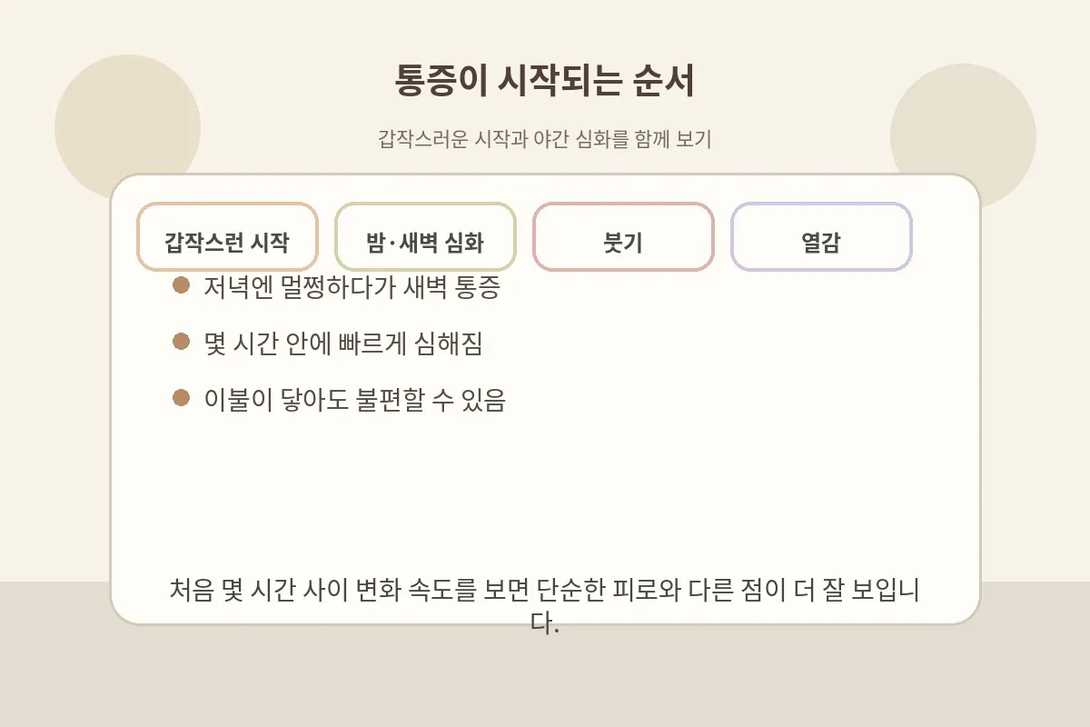 밤사이 통증이 심해지고 붓기와 열감이 따라오는 순서를 설명하는 이미지