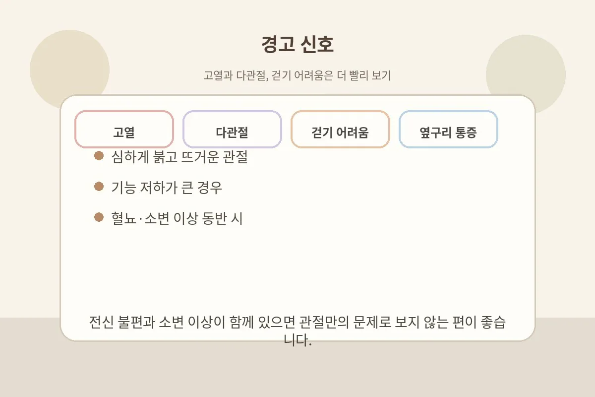 고열과 다관절 통증, 걷기 어려움 같은 경고 신호를 정리한 이미지