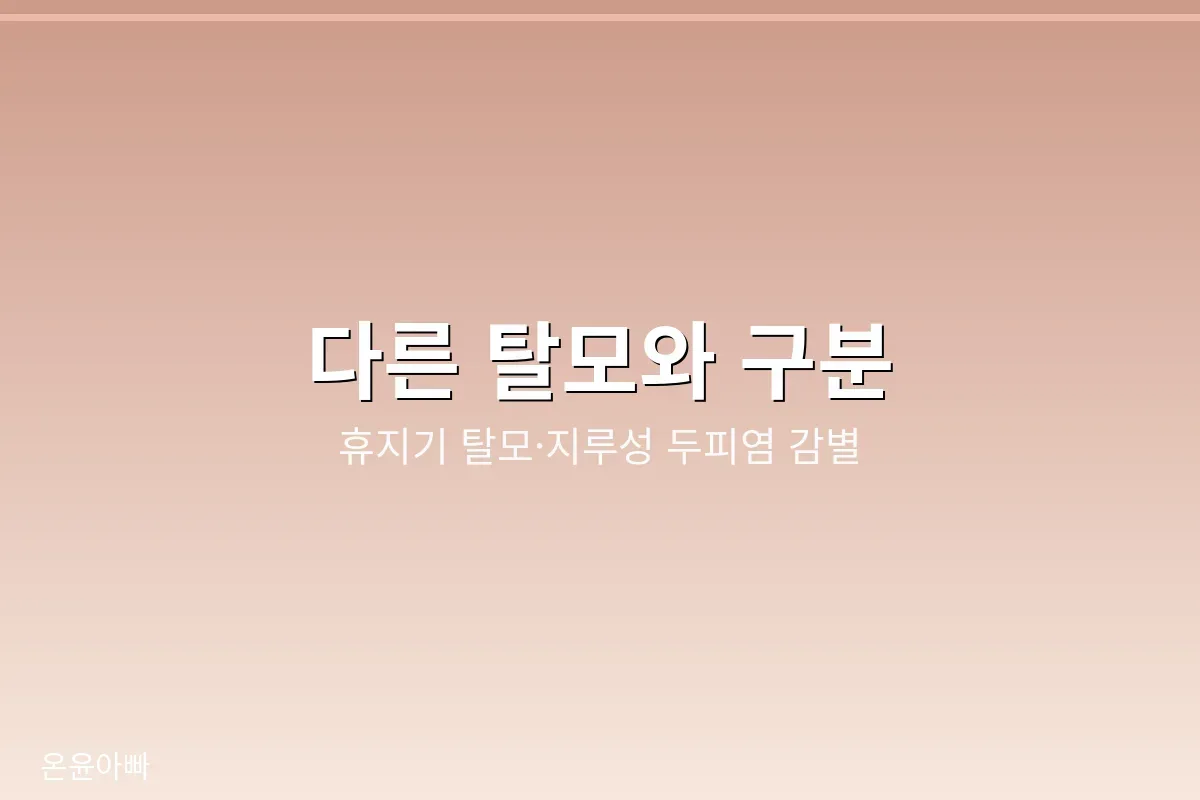휴지기 탈모·지루성 두피염과 원형탈모를 구분하는 감별 포인트 이미지