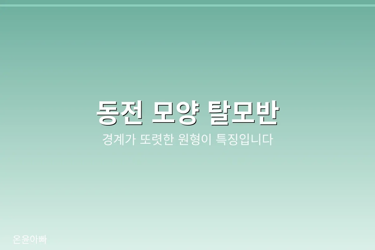 경계가 또렷한 동전 모양 탈모반이 특징인 원형탈모 초기증상 이미지
