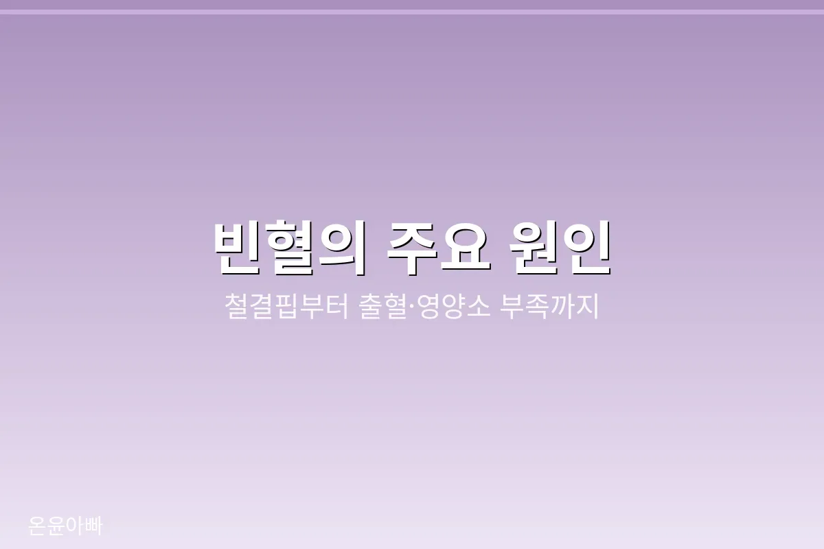 철결핍, 출혈, 영양소 부족 등 빈혈의 주요 원인을 설명하는 이미지
