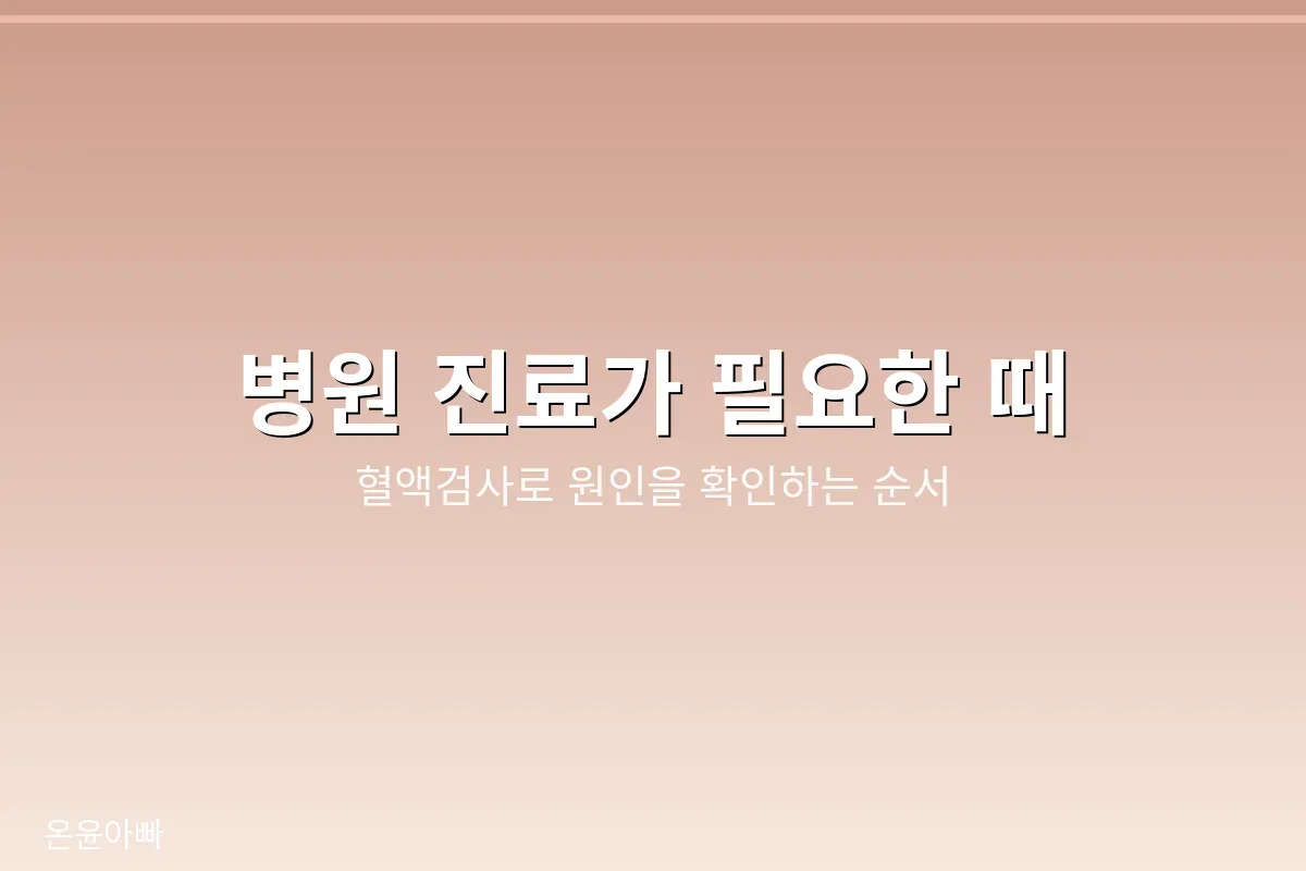 혈액검사로 빈혈 여부와 원인을 확인해야 하는 시점을 안내하는 이미지