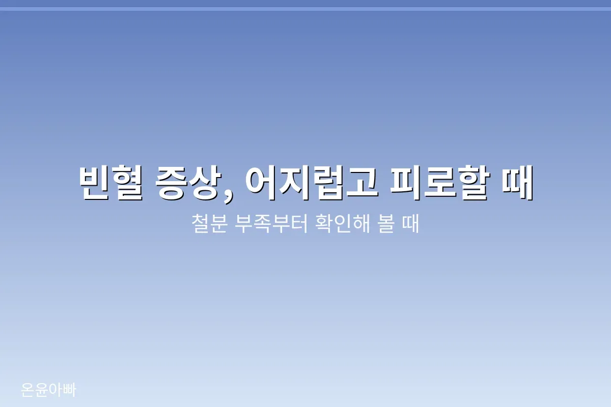 빈혈 증상과 철분 부족을 확인해야 하는 시점을 안내하는 대표 이미지