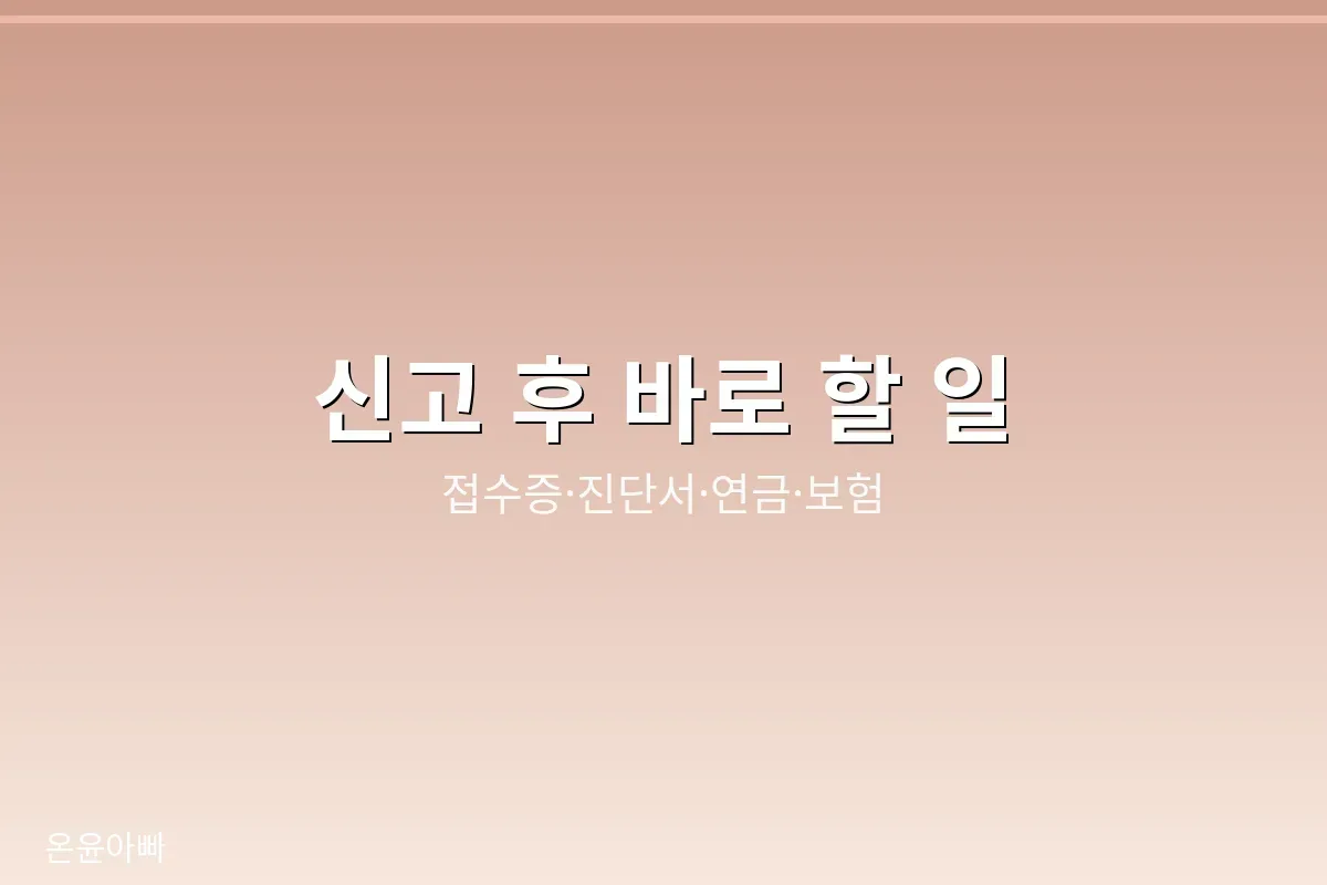 사망신고 접수증 확인과 연금 보험 처리 등 신고 후 할 일을 정리한 이미지