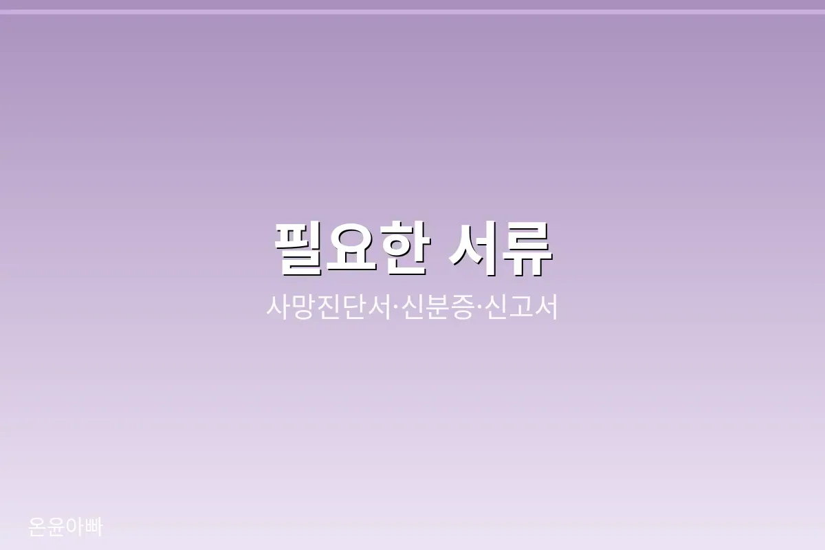 사망신고서와 사망진단서, 신고인 신분증 등 필요한 서류를 정리한 이미지