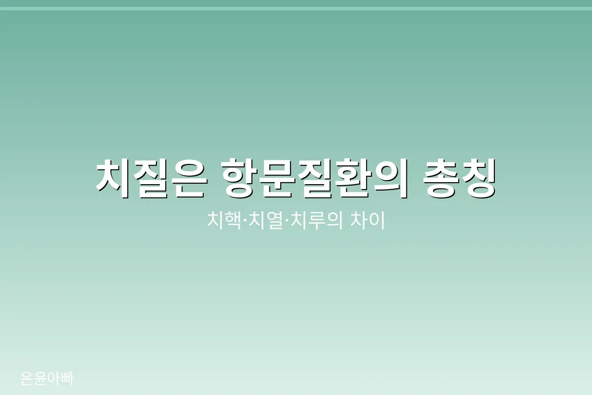 치핵 치열 치루의 차이