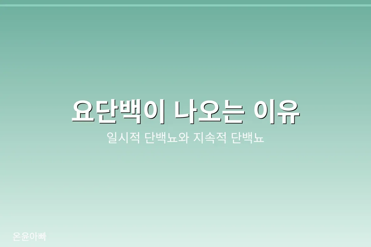 요단백이 나오는 이유