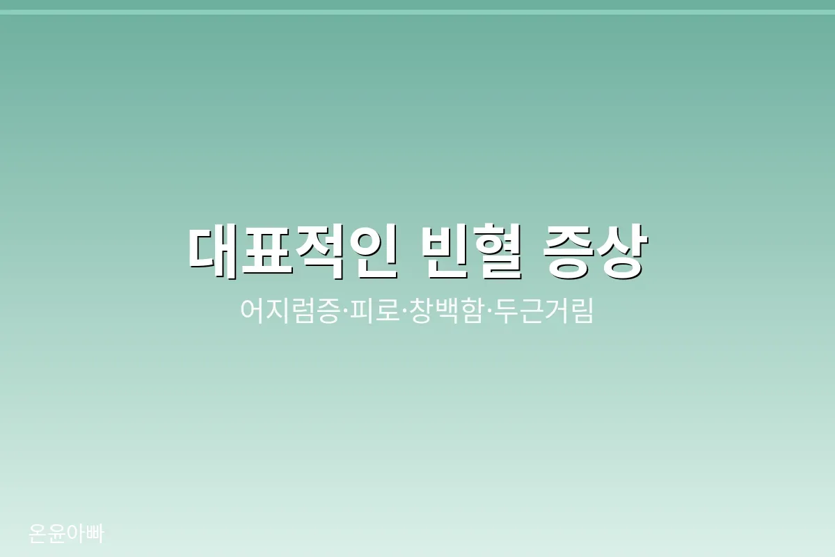 어지럼증, 피로, 창백함, 두근거림 같은 대표적인 빈혈 증상을 정리한 이미지