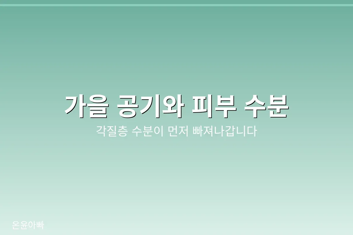 가을 공기와 피부 수분
