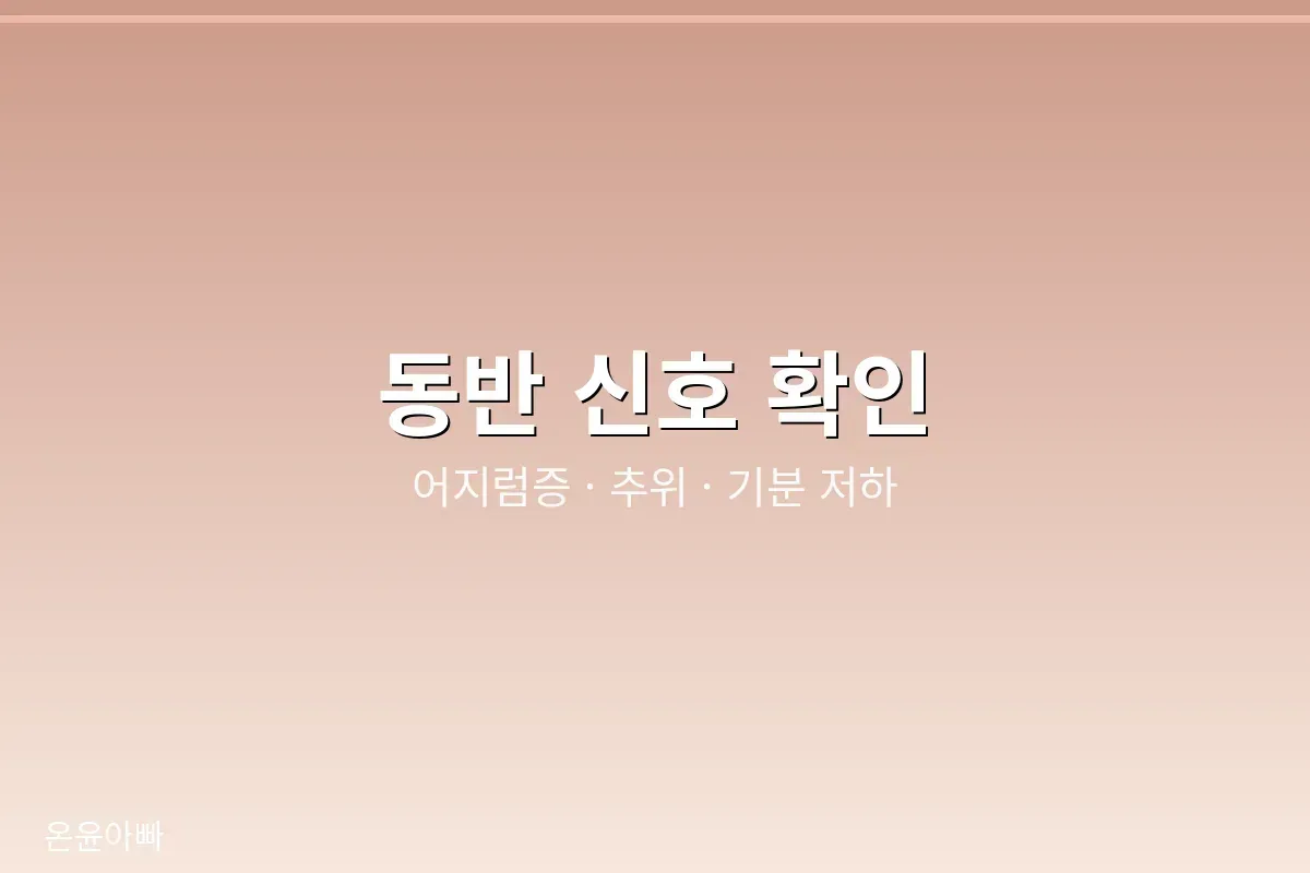 동반 증상으로 만성피로의 방향 잡기