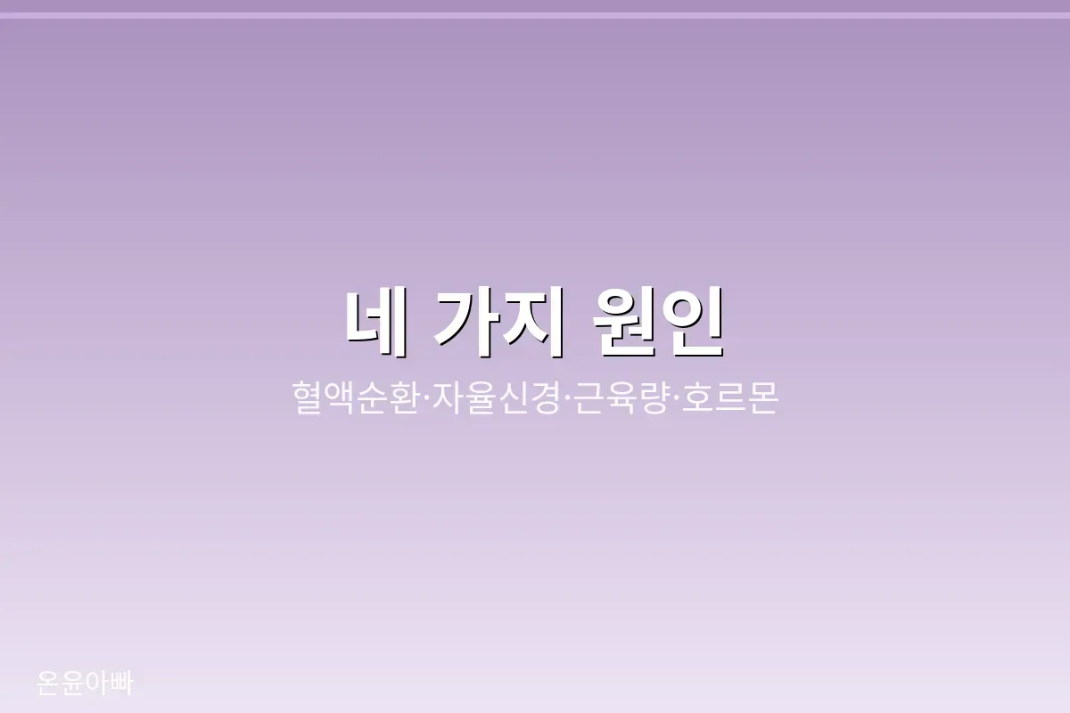 수족냉증 원인