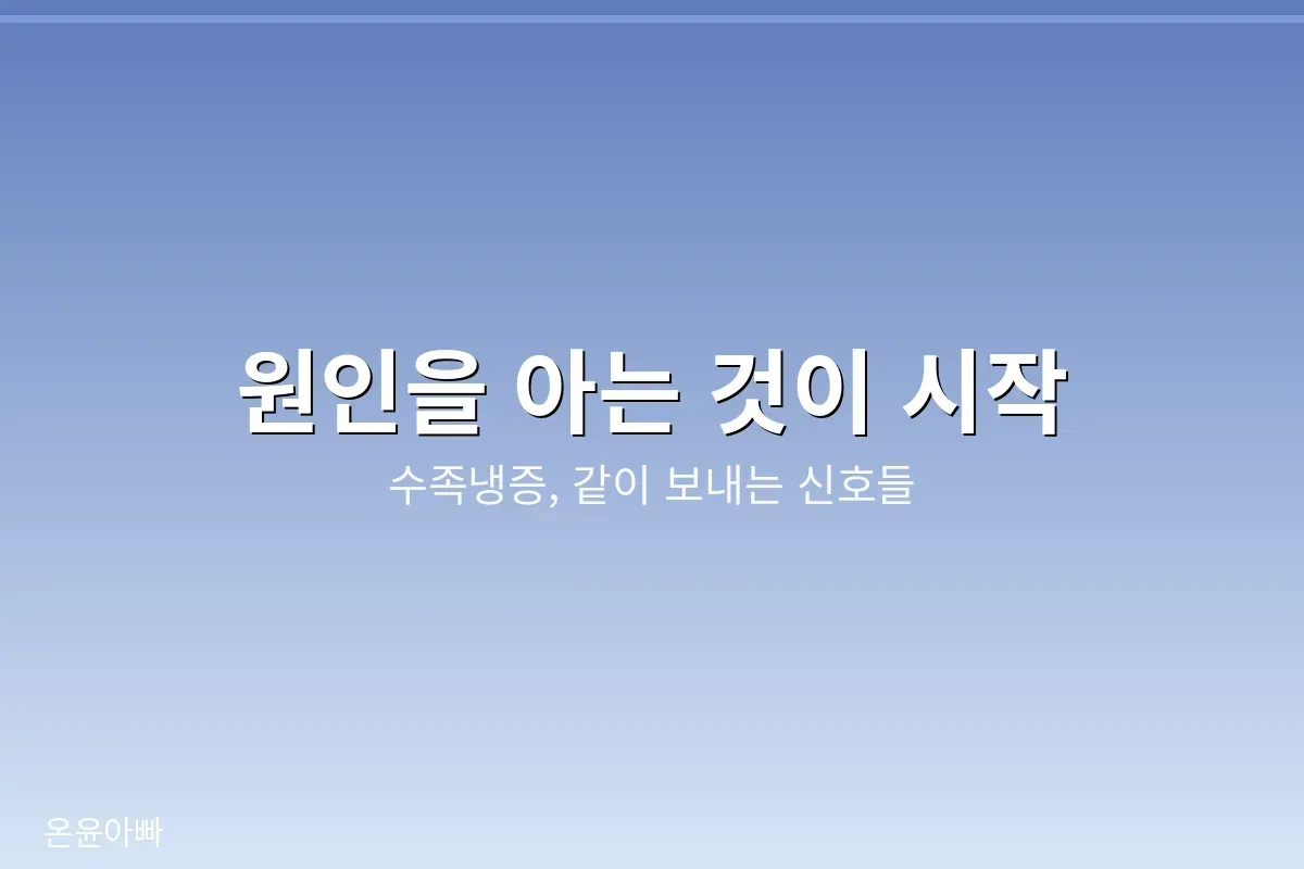 수족냉증 관리