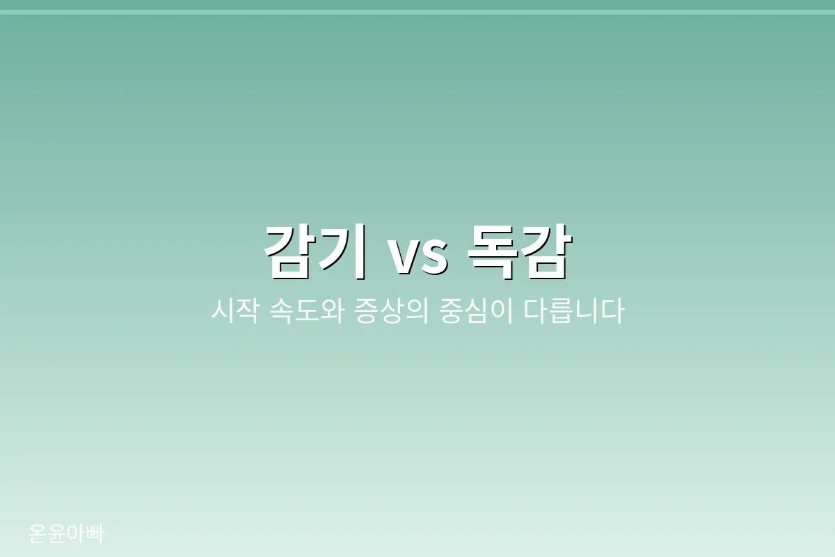 감기와 독감의 차이