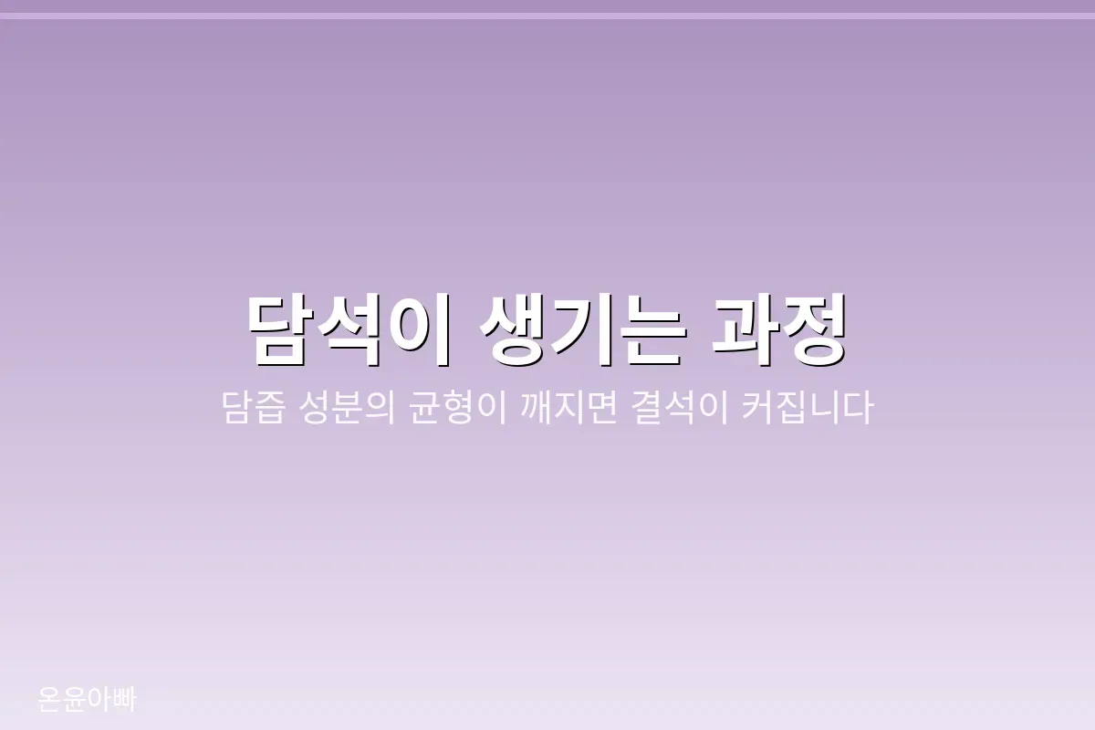 담즙 성분 균형이 깨져 결석이 만들어지는 과정을 표현한 이미지