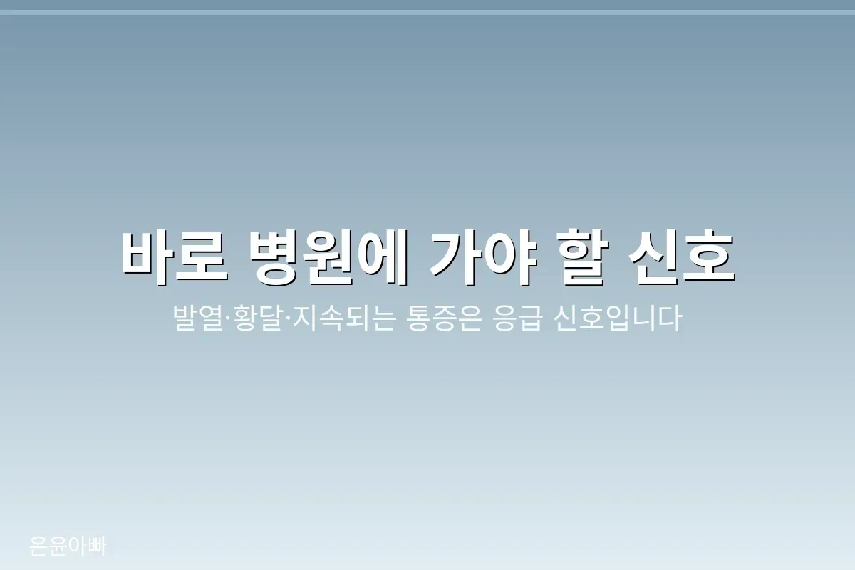 발열, 황달, 지속되는 통증 등 바로 병원에 가야 할 위험 신호를 정리한 이미지