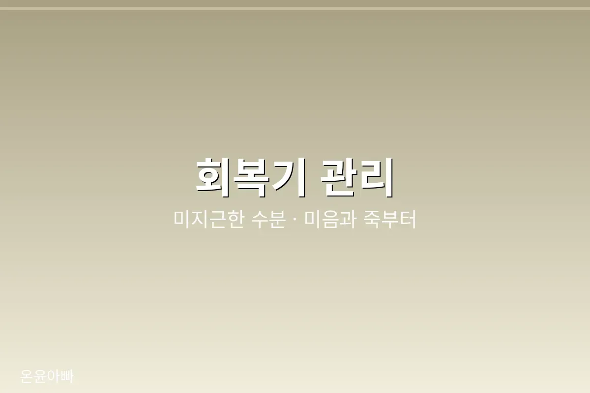 노로바이러스 회복기 식사와 수분 관리