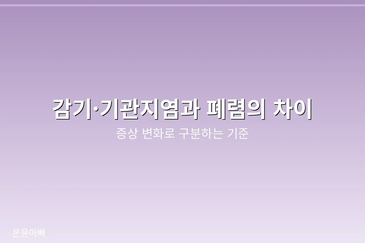 감기 기관지염 폐렴의 차이점 비교