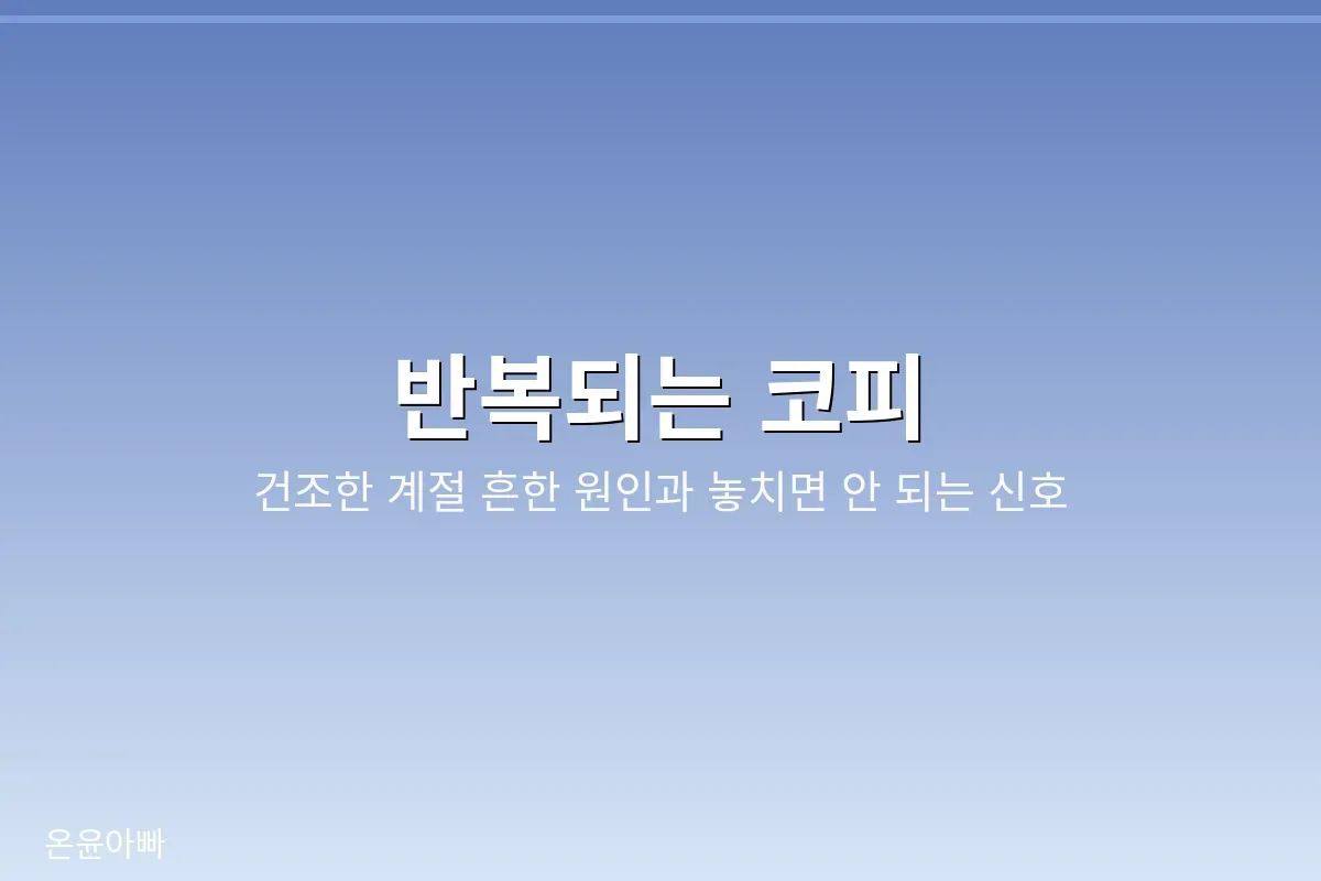 건조한 계절 반복되는 코피 안내 이미지
