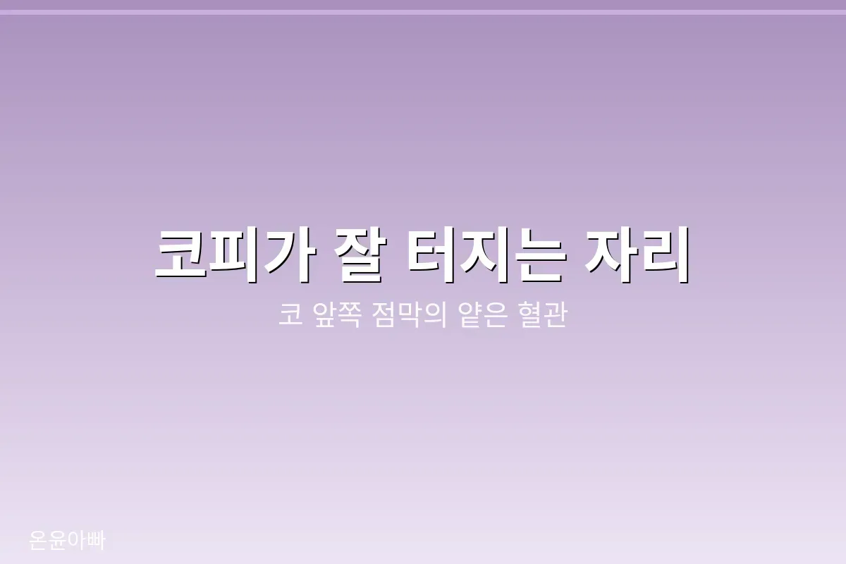 코피가 잘 터지는 부위
