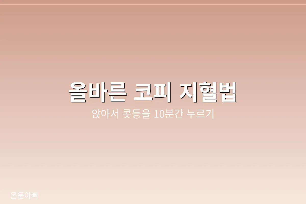 올바른 코피 지혈법