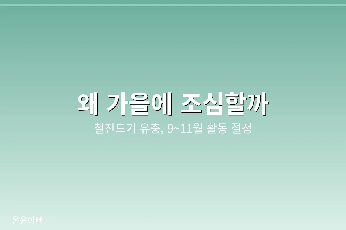 가을이 위험한 이유