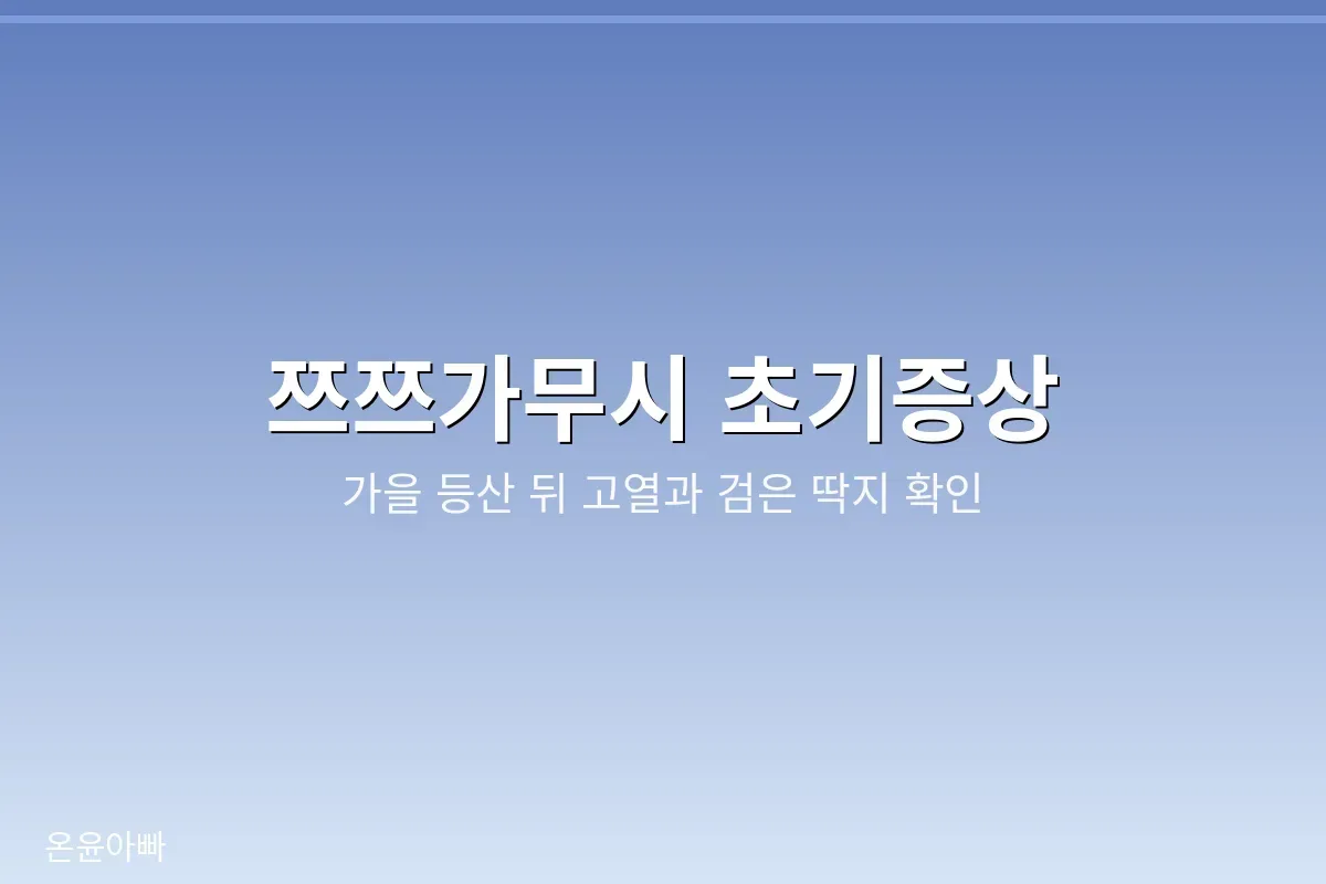 쯔쯔가무시 초기증상 확인법 안내 이미지