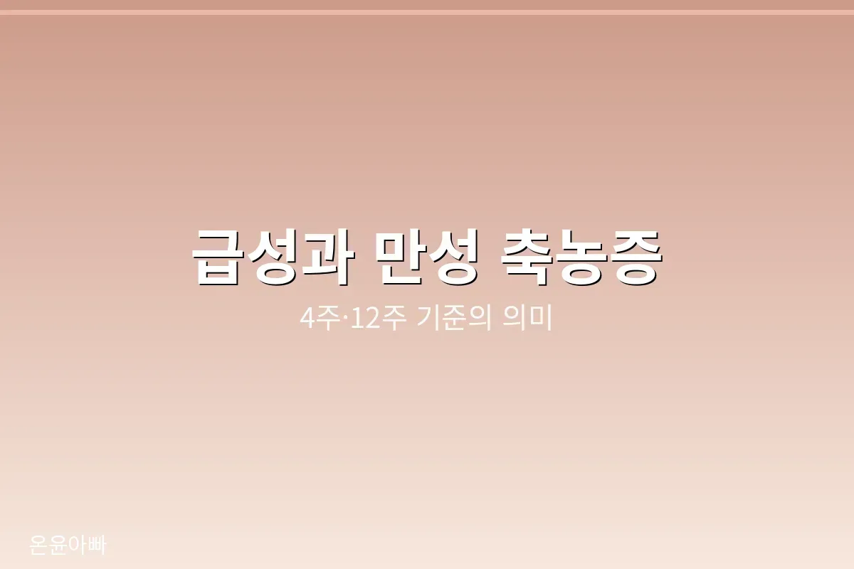 급성과 만성 축농증