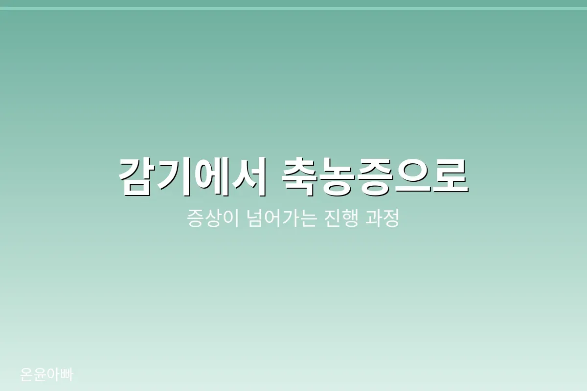 감기와 축농증의 차이