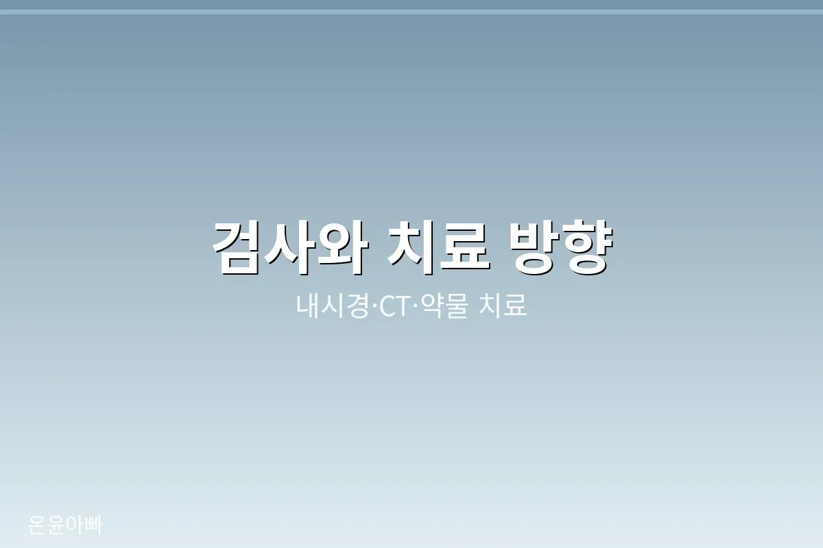 축농증 검사와 치료