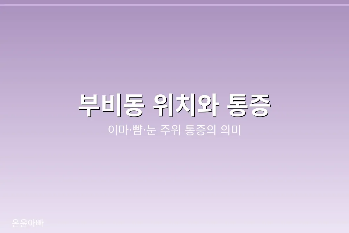 축농증 통증 위치