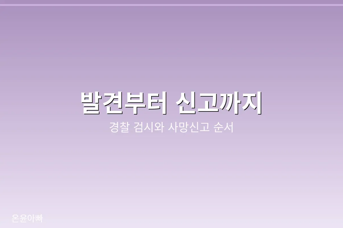 발견부터 신고까지